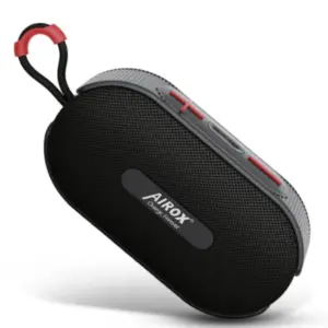 Portable Speaker